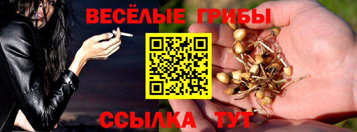 Галлюциногенные грибы Psilocybe  Вход с VPN  Чита  Галлюциногенные грибы Psilocybine cubensis 